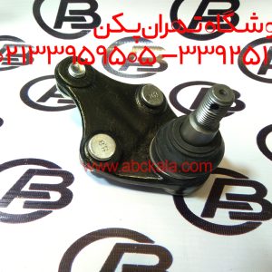 سیبک طبق آریو