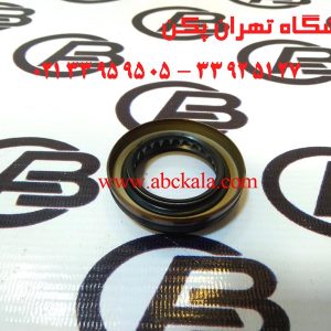 کاسه نمد پلوس برلیانس h230