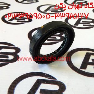 کاسه نمد پلوس برلیانس h320