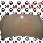 کاپوت برلیانس 320